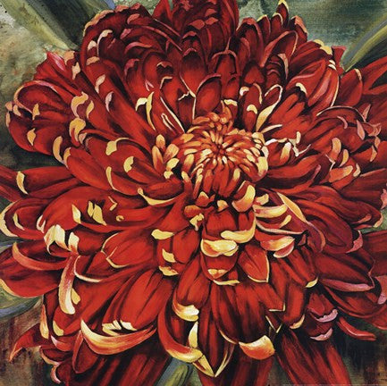 Chrysanthemum