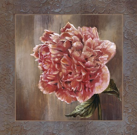 Pivoines II - CS