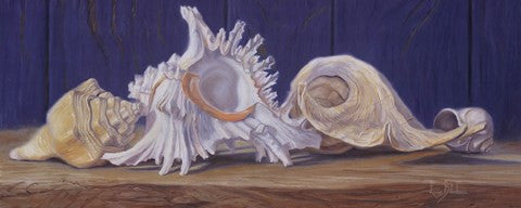 Shells I