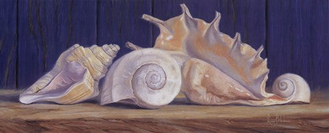 Shells II