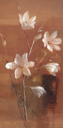 White Magnolia