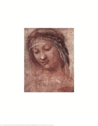 Woman's Head, Study