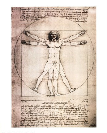 Vitruvian Man, 1492