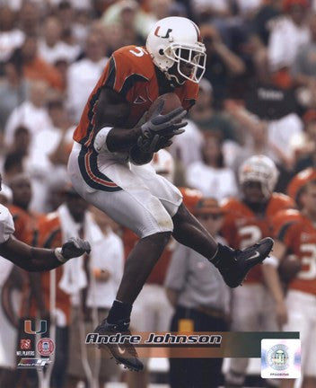 Andre Johnson University of Miami Action