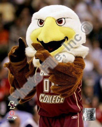 Baldwin, The Boston College Eagles Mascot 2007