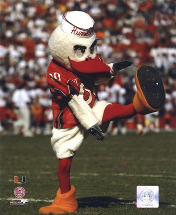 Sebastian -The Mascot of  University of Miami Hurricanes, 2003