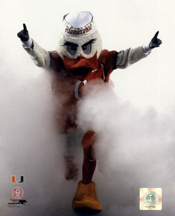 Sebastian the University of Miami Hurricanes mascot 2006