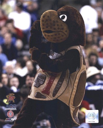 University of Maryland - Terrapin Mascot, 2006