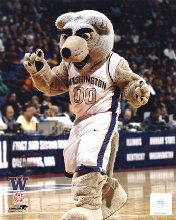 University of Washington - Huskies Mascot, 2004