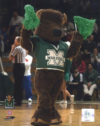 Marco - Marshall University Thundering Herd Mascot