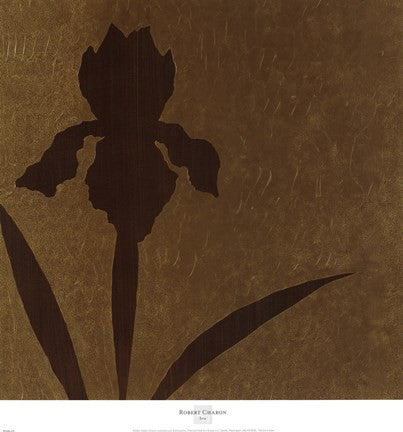 Iris (Metallic)