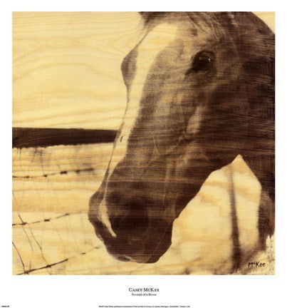 Portrait of a Horse