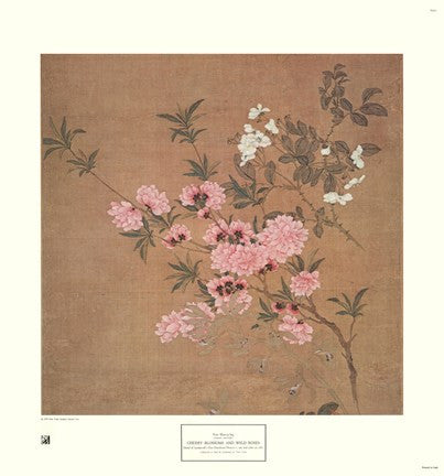 Cherry Blossoms and Wild Roses