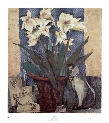 Amaryllis & Cat