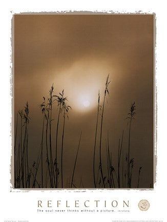 Reflection-Beach Grass