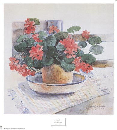 Geraniums, 1986