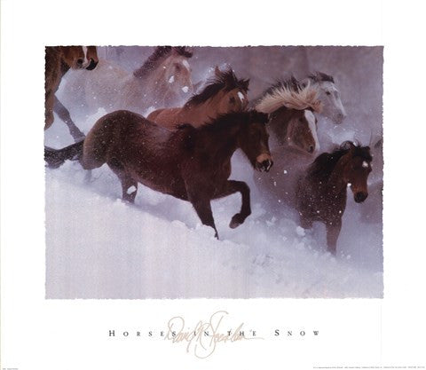 Horses in the Snow