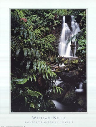 Rainforest Waterfall, Hawaii