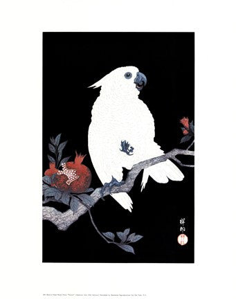 Ukiyo-E Parrot