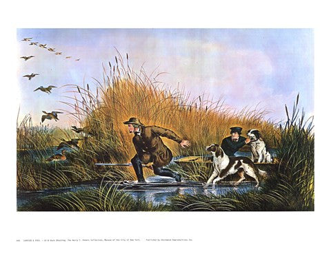 Wild Duck Shooting