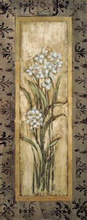 Paperwhites I