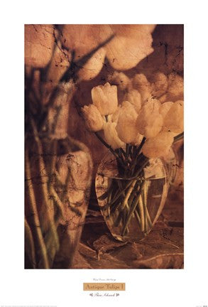 Antique Tulips I