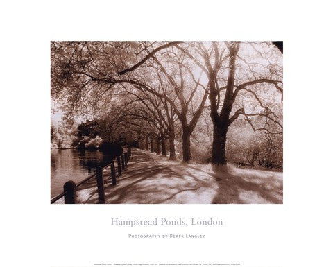 Hampstead Ponds, London