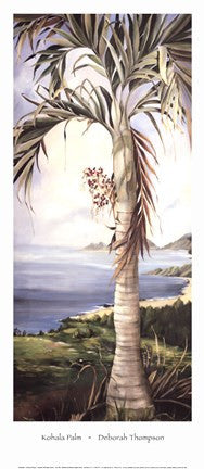 Kohala Palm