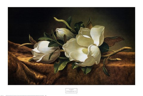 Magnolias on Gold Velvet Cloth