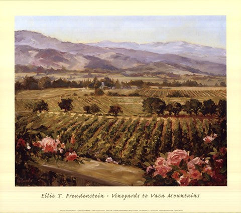 Vineyards to Vaca Mountains