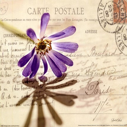 Vintage Letter and Purple Daisy