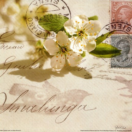 Vintage Letter and Apple Blossoms