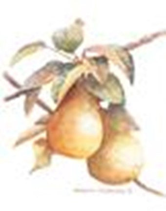 Pears