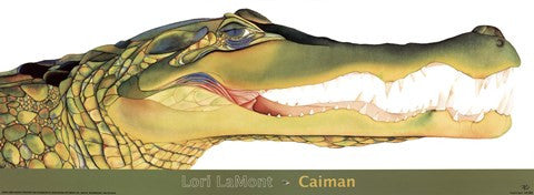 Caiman