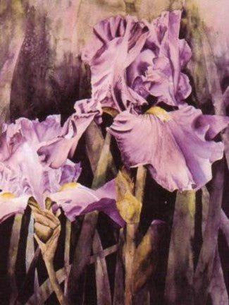 Two Purple Irises