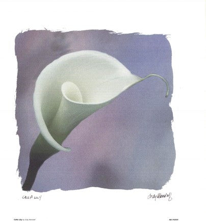 Calla Lily