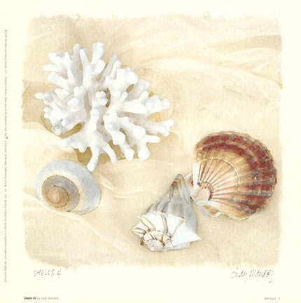 Shells IV