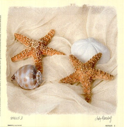 Shells III