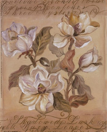 Magnolia l