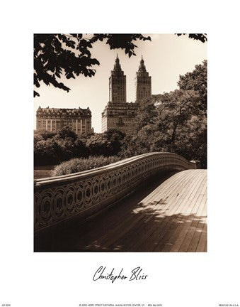 Central Park Bridges I