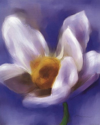 Daffodil Study