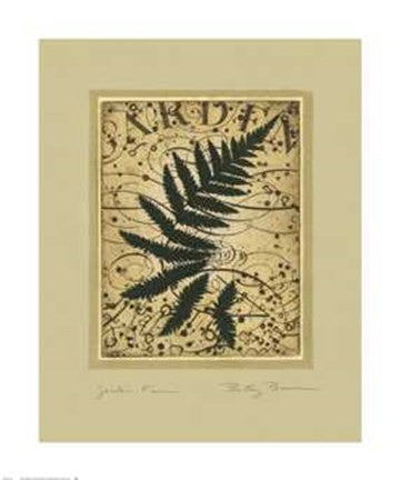 Garden Fern