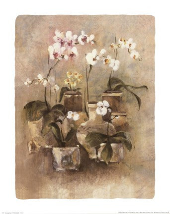 Arrangement of Orchids II-11x14