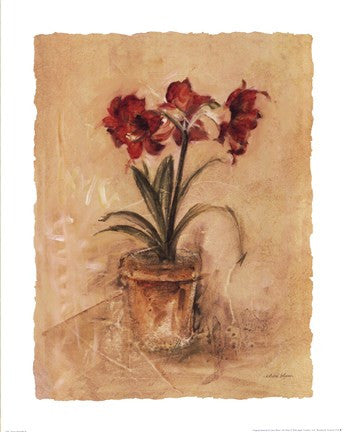 Secret Amaryllis II