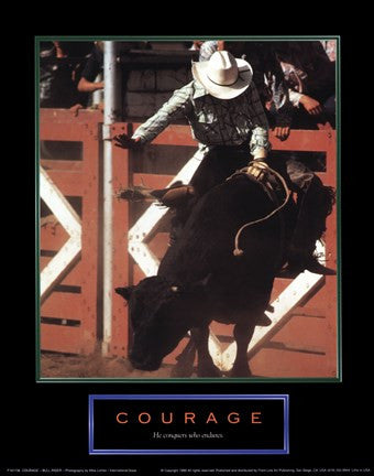 Courage-Bull Rider