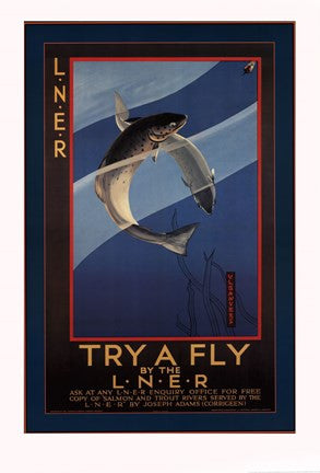 Trout - try a fly