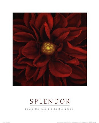 Splendor - Red Pool