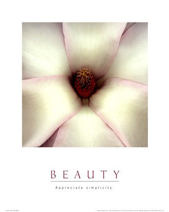 Beauty - White Magnolia