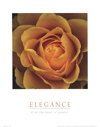 Elegance - Peach Rose