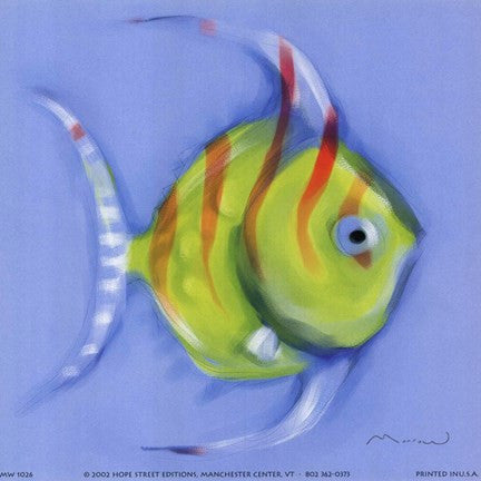 Striped Angel Fish